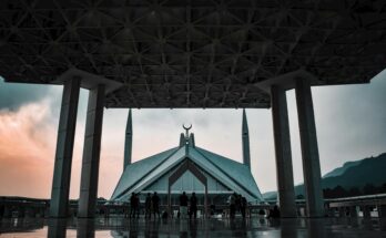 How to Apply for Govt Jobs in Pakistan (Step by Step Guide 2026)